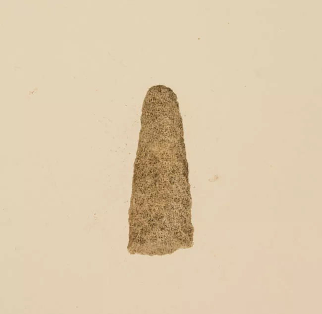 Lija