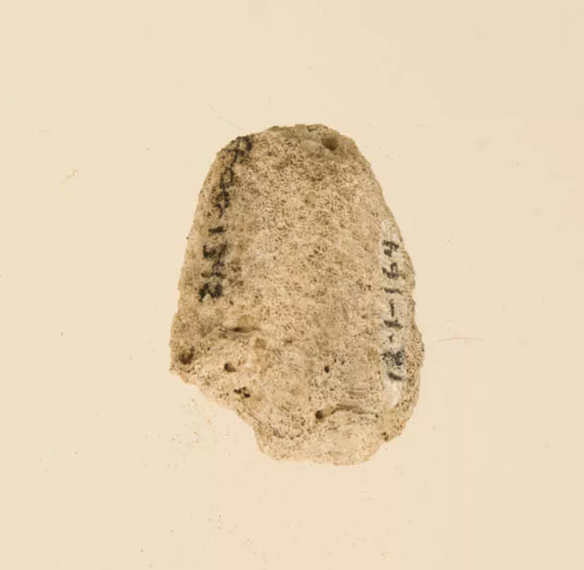 Lija