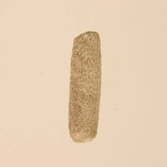 Lija
