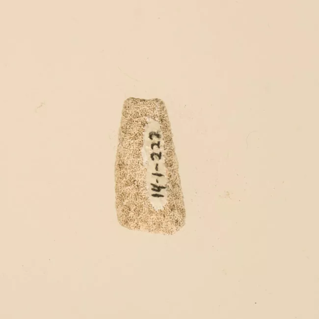 Lija