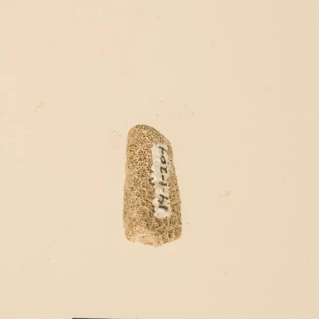Lija