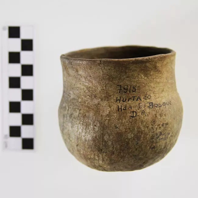 Olla (arqueológica y etnográfica)