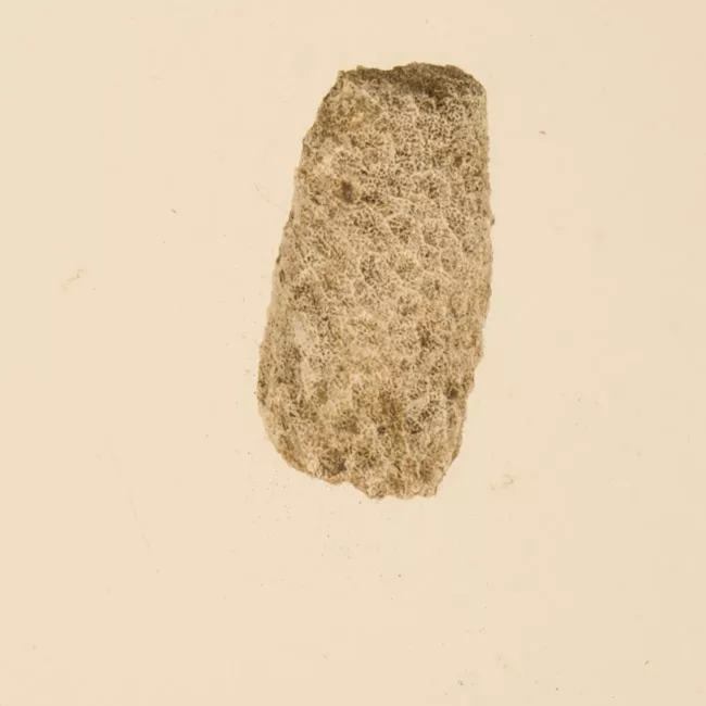 Lija