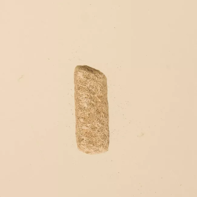 Lija