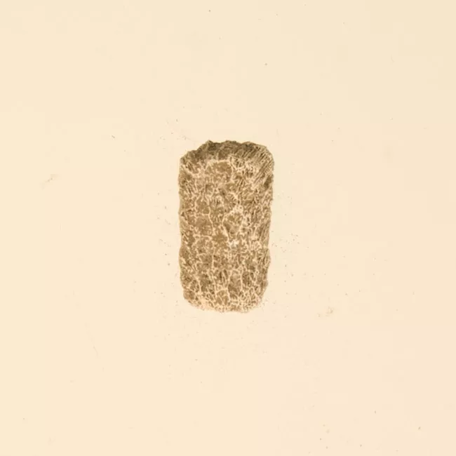 Lija