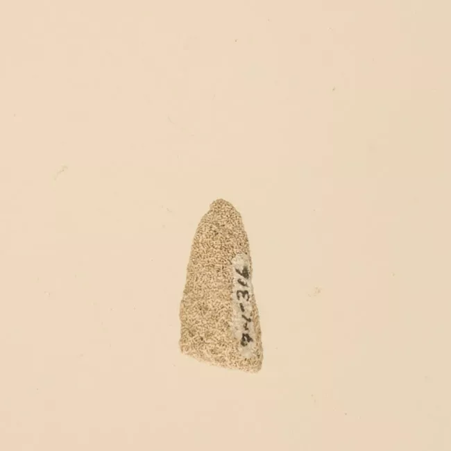 Lija