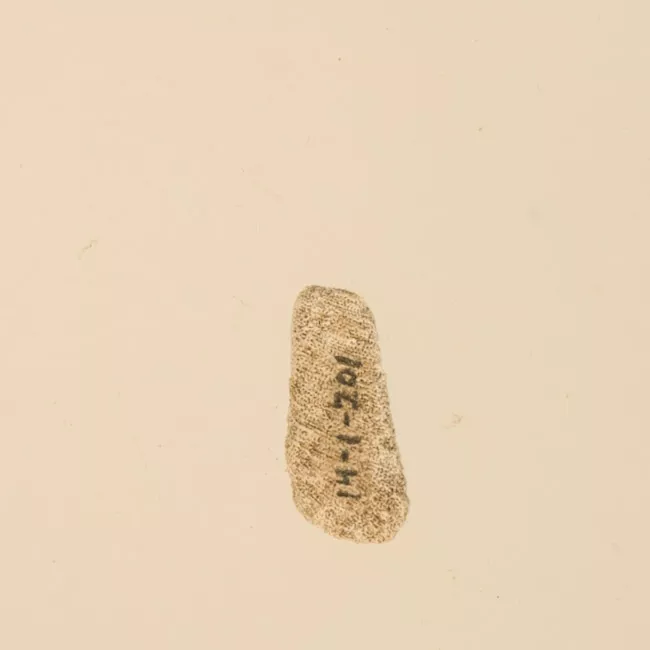 Lija