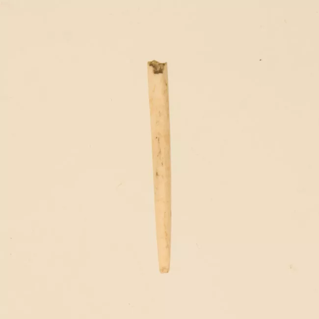 Aguja (arqueológico y etnográfico)