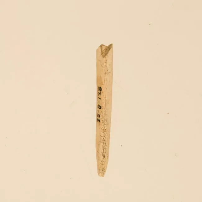 Aguja (arqueológico y etnográfico)