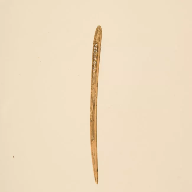 Aguja (arqueológico y etnográfico)