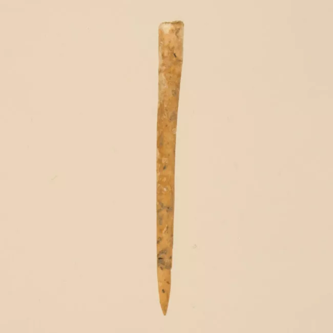 Aguja (arqueológico y etnográfico)