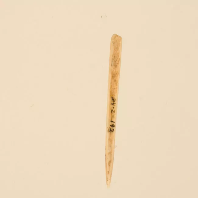 Aguja (arqueológico y etnográfico)
