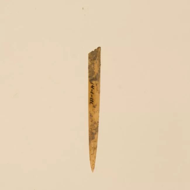 Aguja (arqueológico y etnográfico)