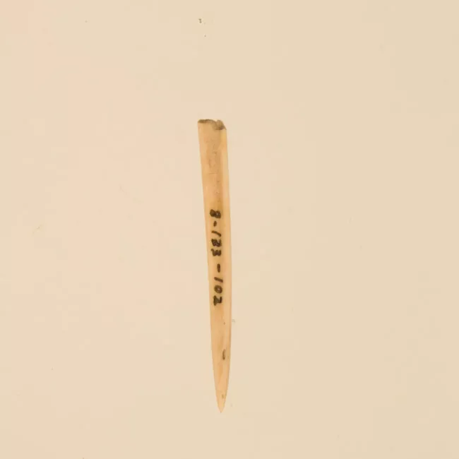 Aguja (arqueológico y etnográfico)