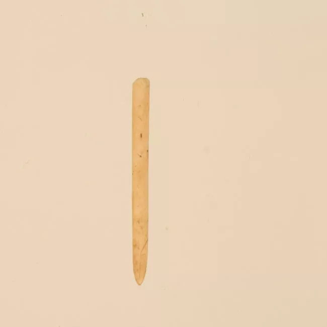 Aguja (arqueológico y etnográfico)