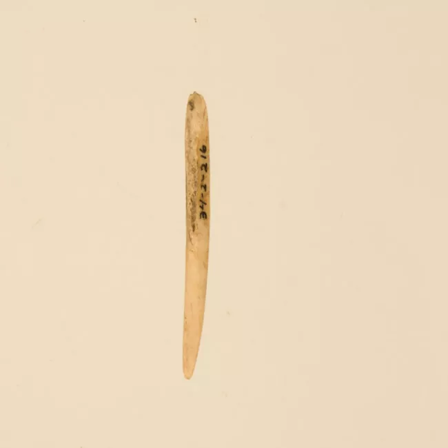 Aguja (arqueológico y etnográfico)