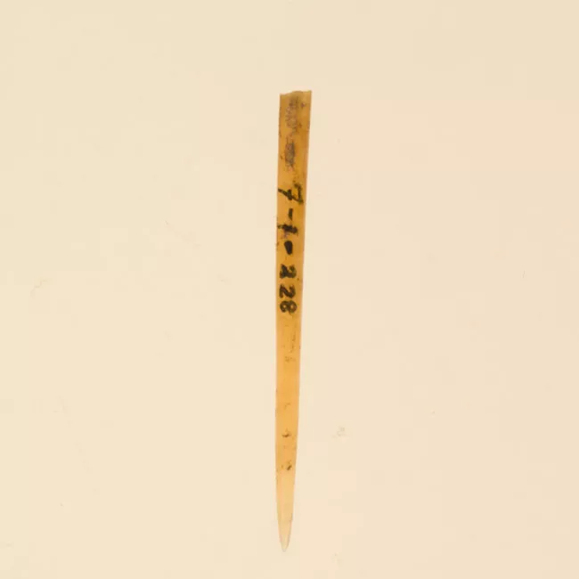 Aguja (arqueológico y etnográfico)