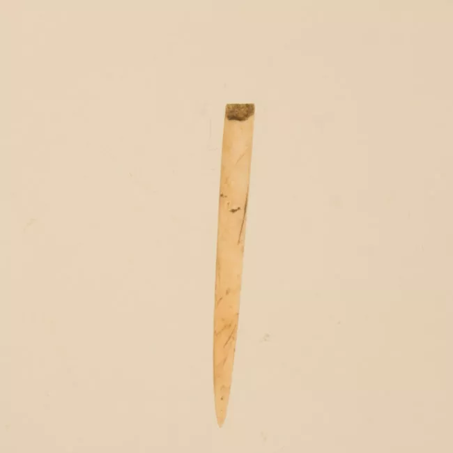 Aguja (arqueológico y etnográfico)