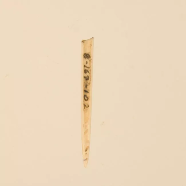 Aguja (arqueológico y etnográfico)