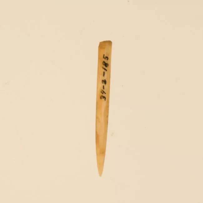 Aguja (arqueológico y etnográfico)