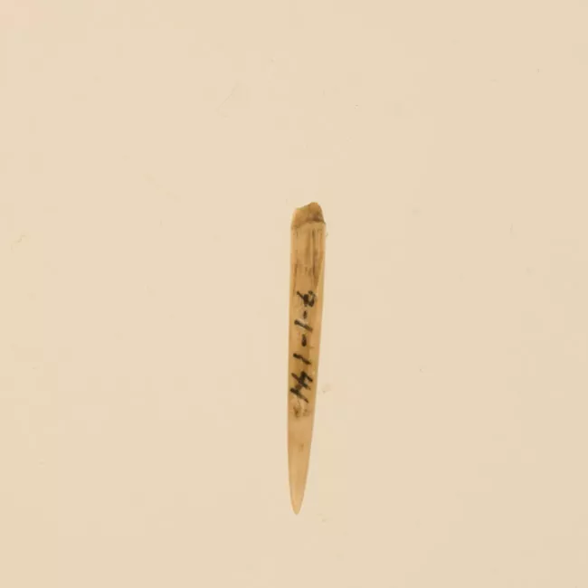 Aguja (arqueológico y etnográfico)