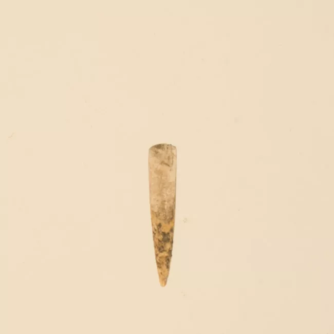 Aguja (arqueológico y etnográfico)