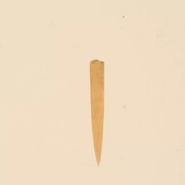 Aguja (arqueológico y etnográfico)