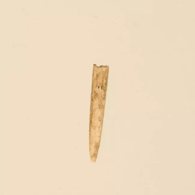 Aguja (arqueológico y etnográfico)