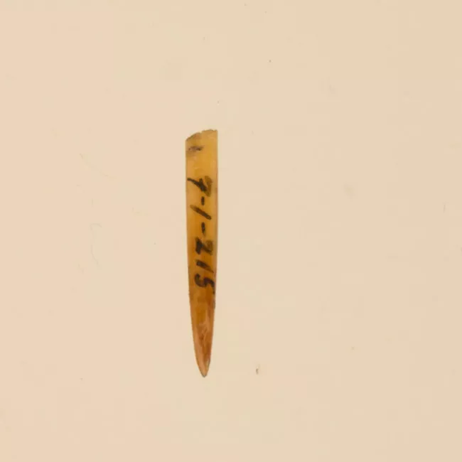 Aguja (arqueológico y etnográfico)