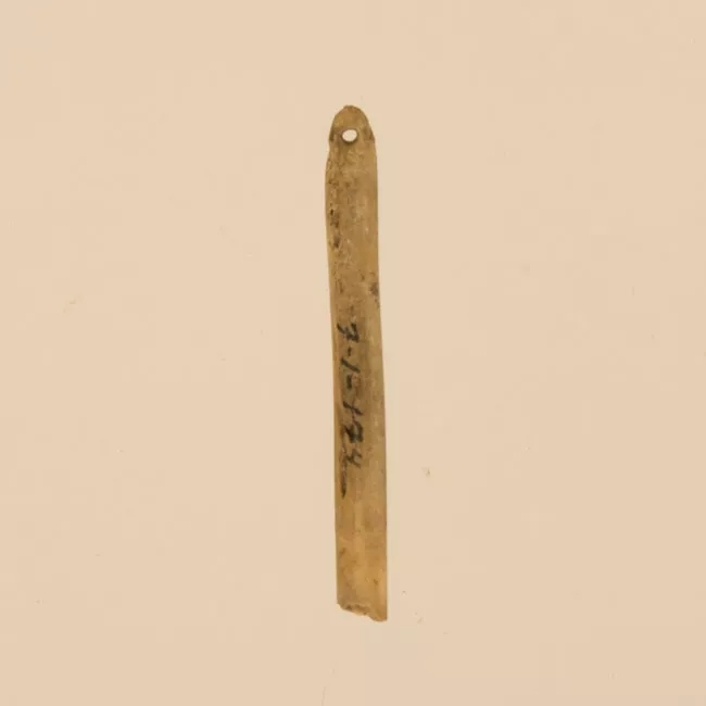 Aguja (arqueológico y etnográfico)