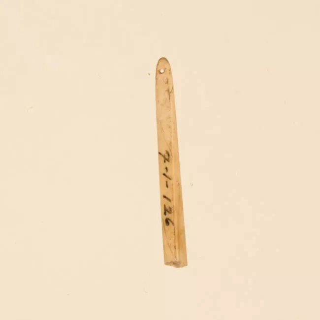 Aguja (arqueológico y etnográfico)