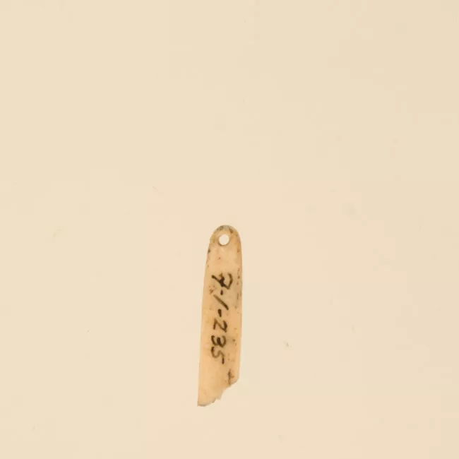 Aguja (arqueológico y etnográfico)