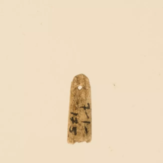 Aguja (arqueológico y etnográfico)