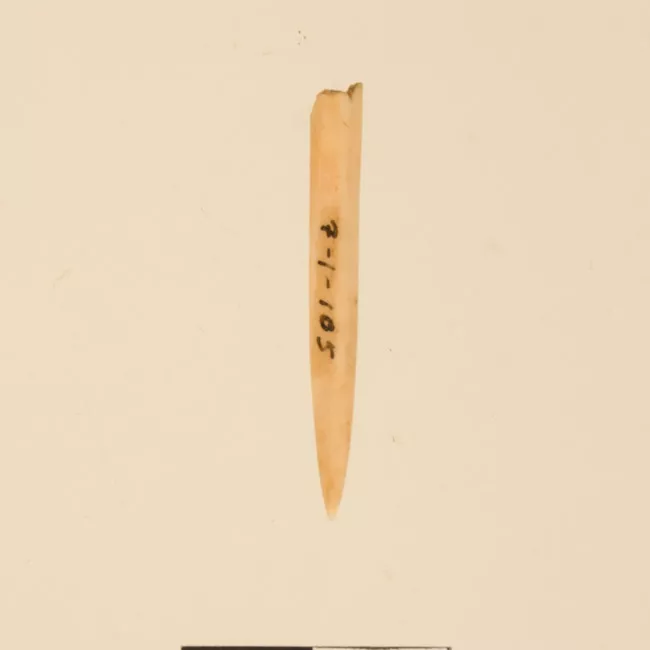 Aguja (arqueológico y etnográfico)