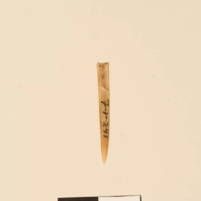 Aguja (arqueológico y etnográfico)