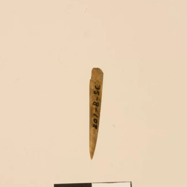 Aguja (arqueológico y etnográfico)