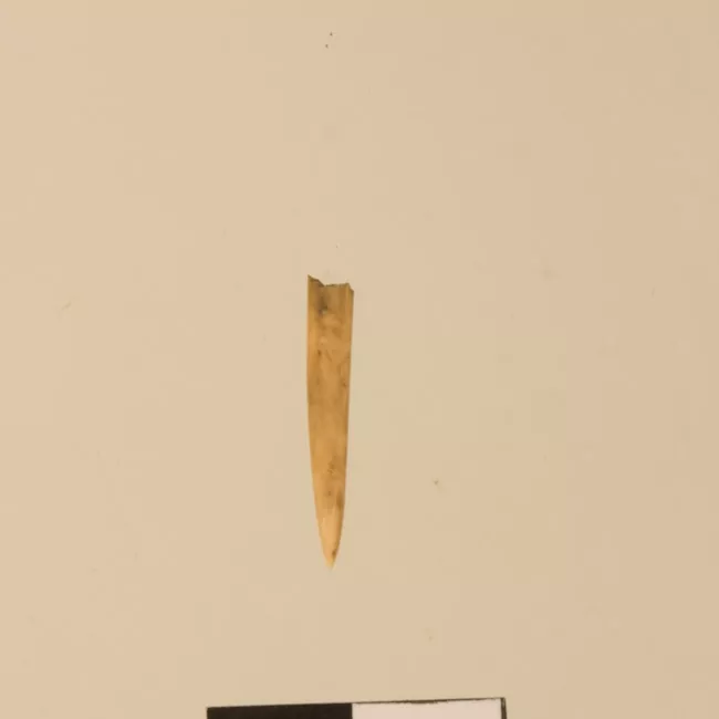 Aguja (arqueológico y etnográfico)