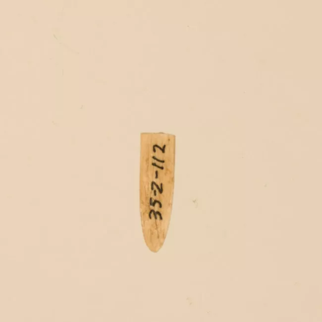 Aguja (arqueológico y etnográfico)