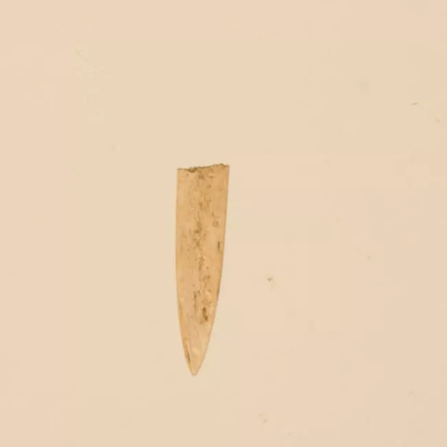 Aguja (arqueológico y etnográfico)