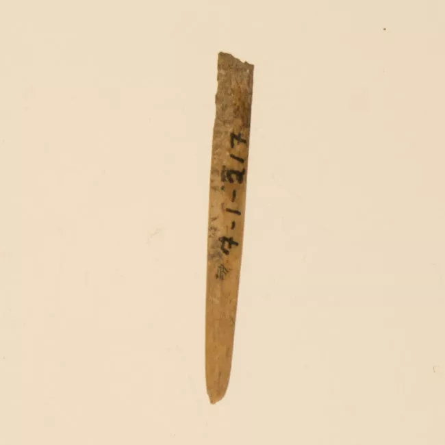 Aguja (arqueológico y etnográfico)