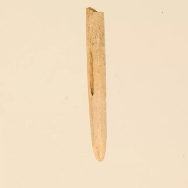 Aguja (arqueológico y etnográfico)