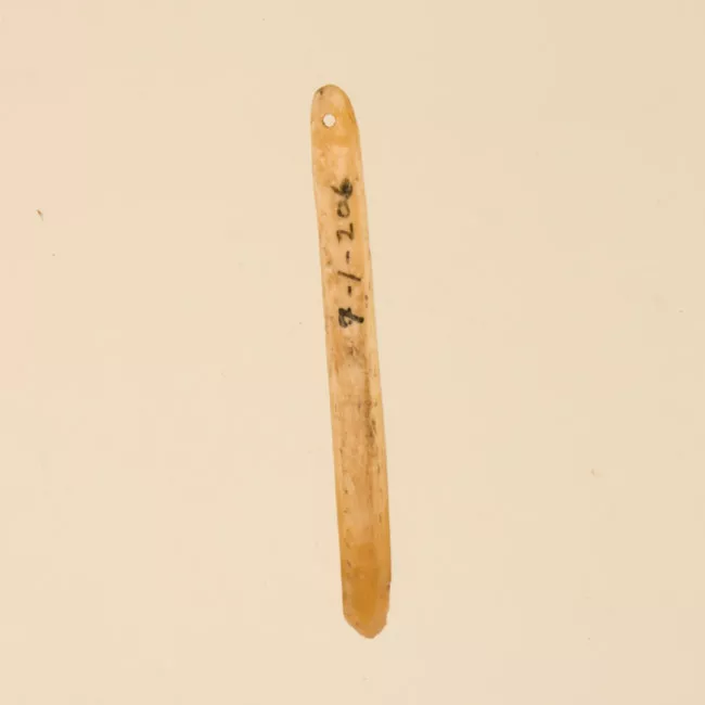 Aguja (arqueológico y etnográfico)