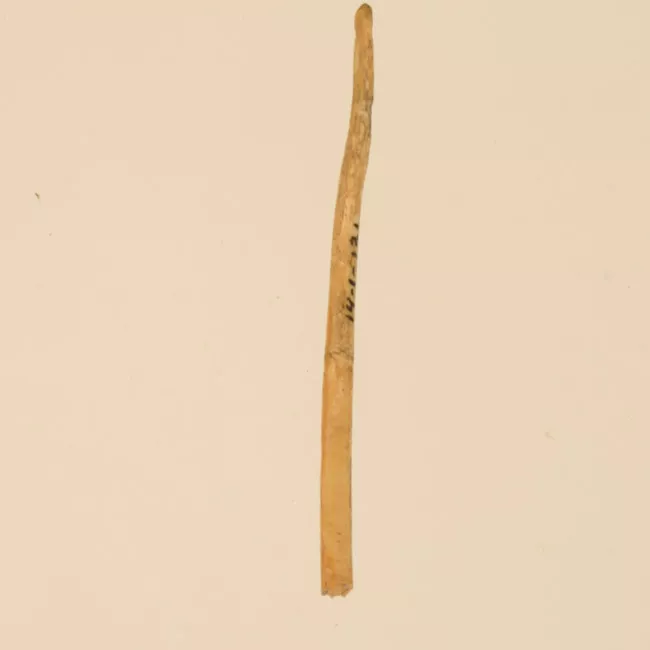 Aguja (arqueológico y etnográfico)