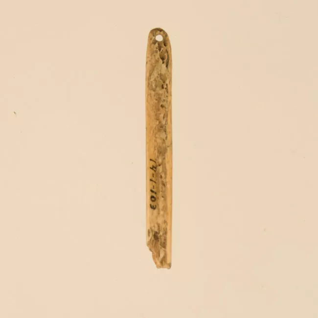Aguja (arqueológico y etnográfico)