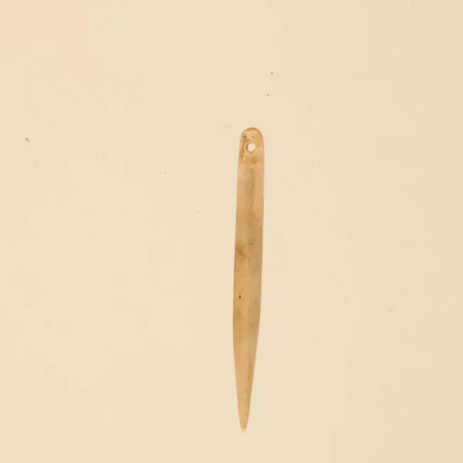 Aguja (arqueológico y etnográfico)