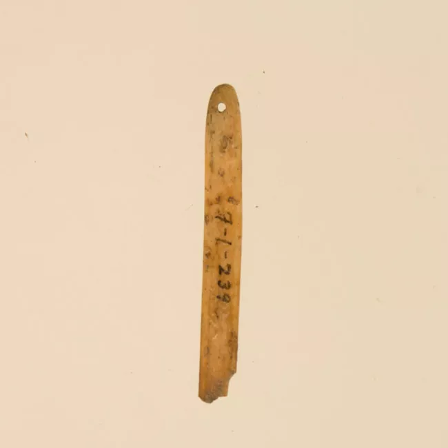 Aguja (arqueológico y etnográfico)