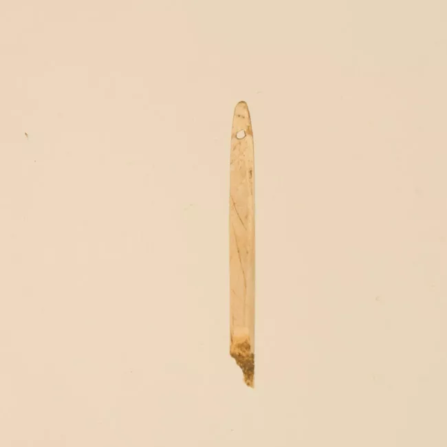 Aguja (arqueológico y etnográfico)