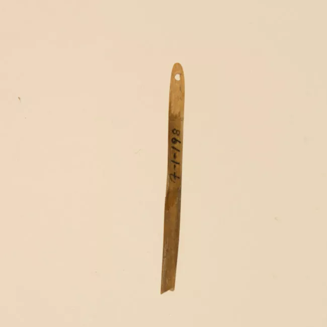 Aguja (arqueológico y etnográfico)