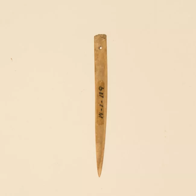 Aguja (arqueológico y etnográfico)