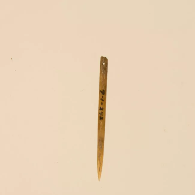 Aguja (arqueológico y etnográfico)